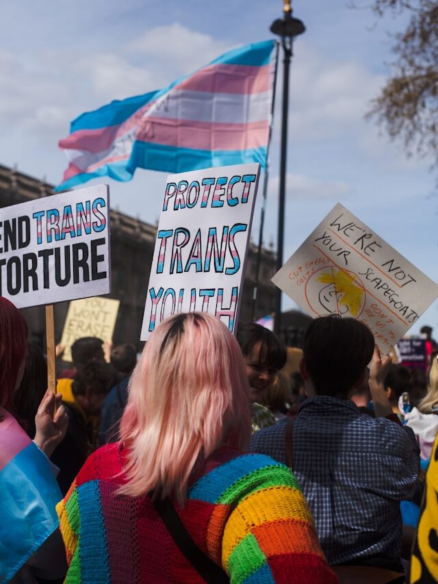 Transgender flag surrounded by posters stating "Protect trans youth", "End trans torture", and We're not your scapegoats".