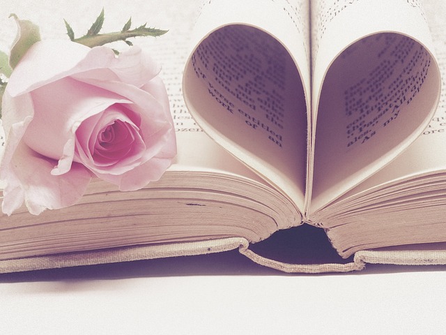 Book pages formed to shape a heart with rose beside it. In article about visual novel games.