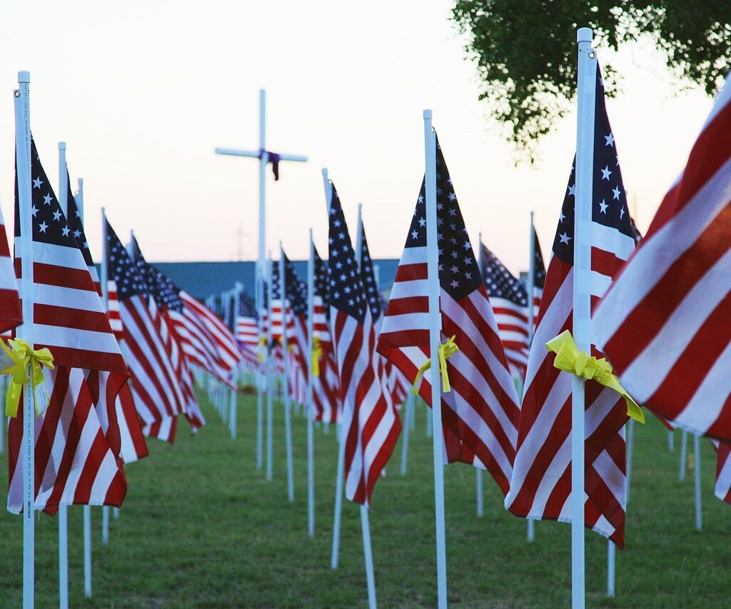 American flags in rows.