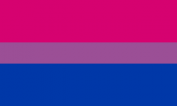 Bisexual Pride Flag