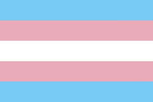 Transgender Pride Flag